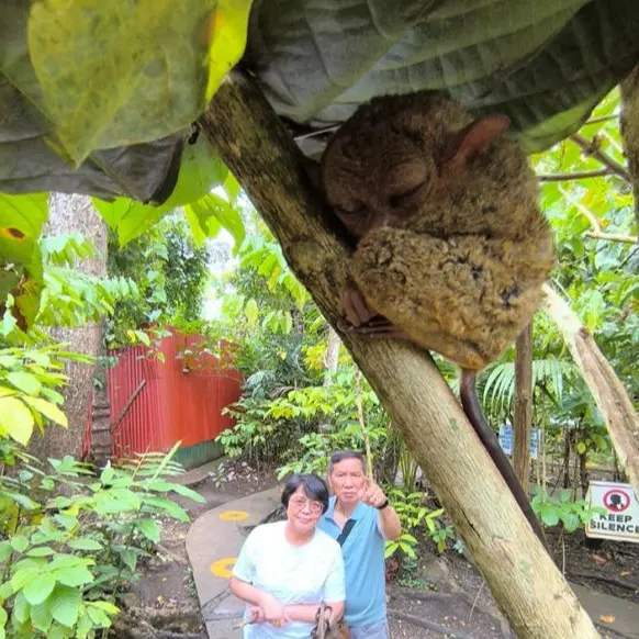 The world's smallest primates, the adorable tarsiers.