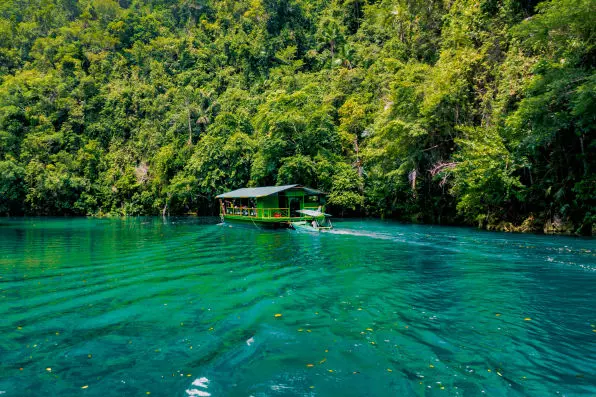 Savor delicious Filipino cuisine while cruising along the Loboc River