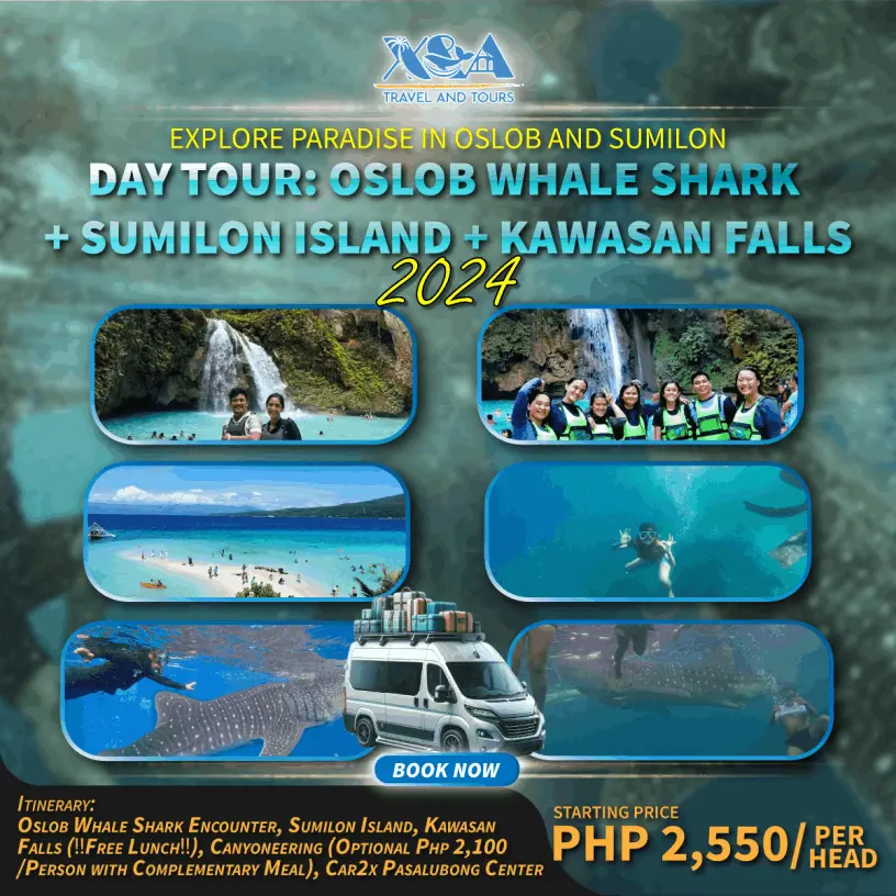 Encounter whale sharks in Oslob, unwind at Sumilon Island, and be mesmerized by Kawasan Falls