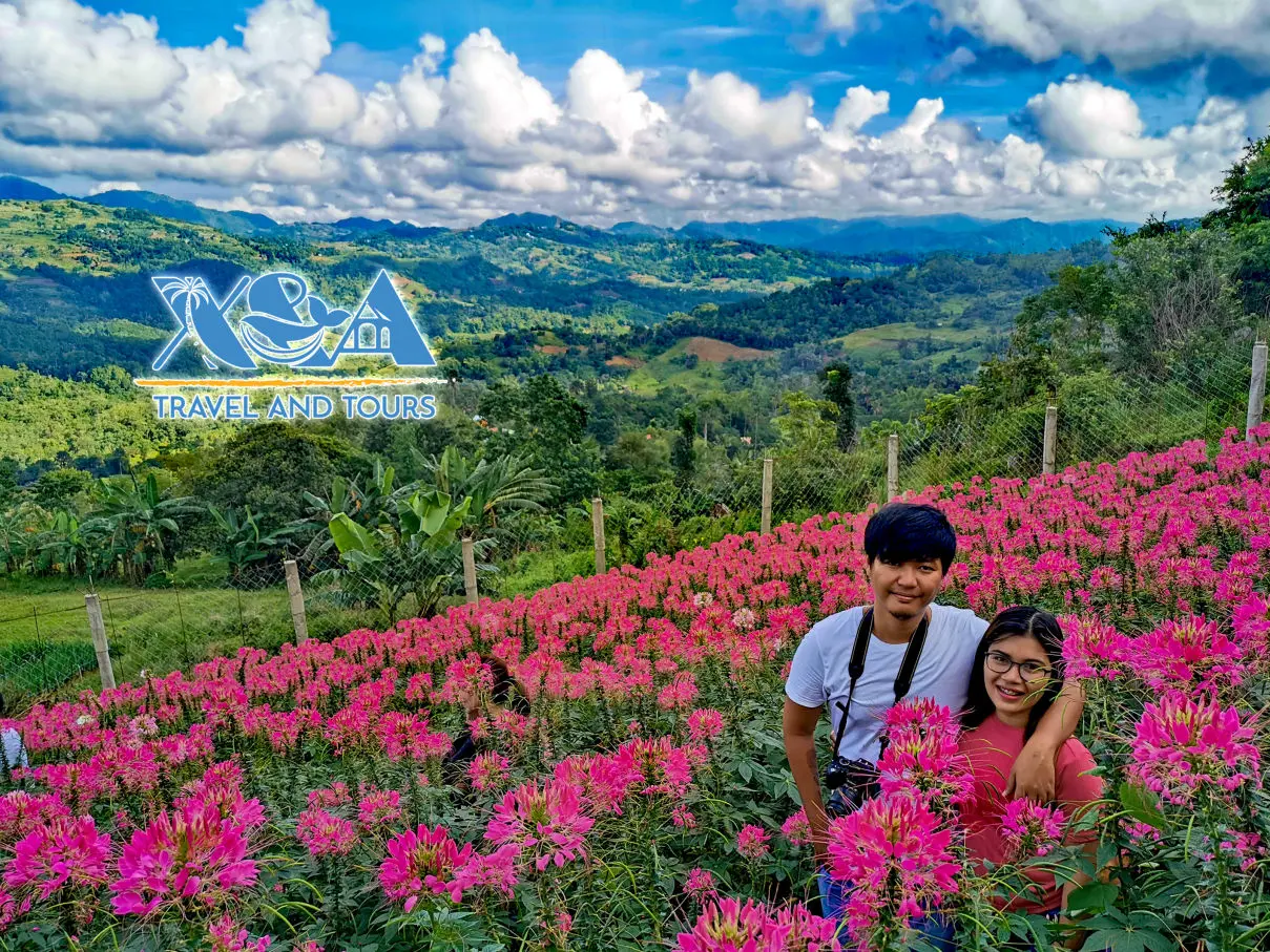 A Majestic View in Sirao Garden Busay Cebu