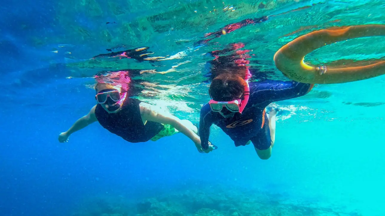 Dive into Cebu's vibrant city life, explore Moalboal's underwater paradise.