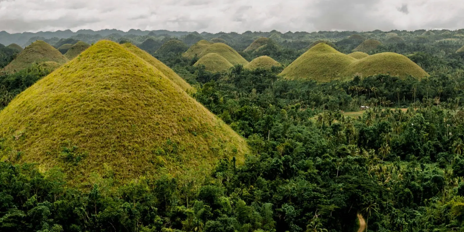 Explore the best of both worlds! Combine the energy of Cebu City with a tranquil escape to Bohol's countryside.